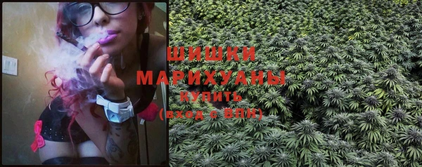 индика Инсар