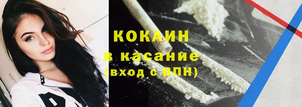 индика Инсар