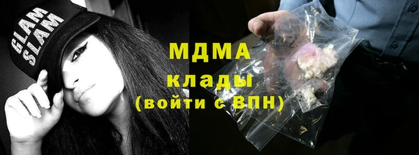 индика Инсар