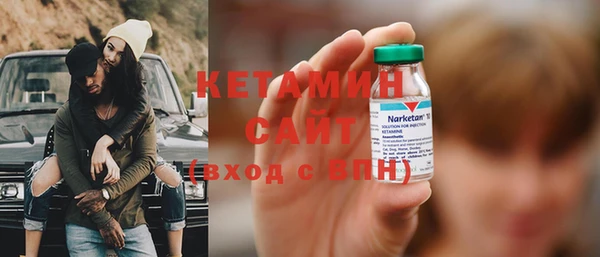 индика Инсар