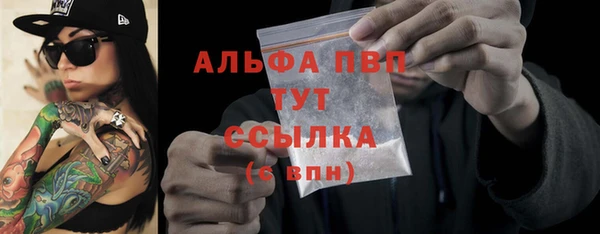 индика Инсар