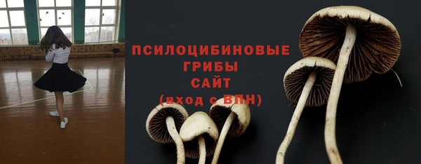 индика Инсар