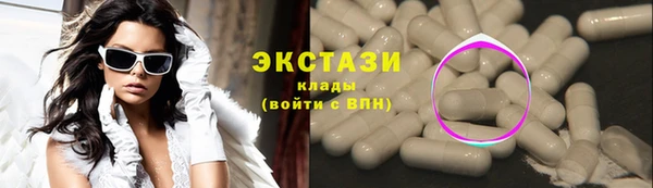 индика Инсар