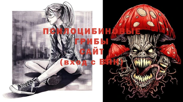 прущая мука Инта