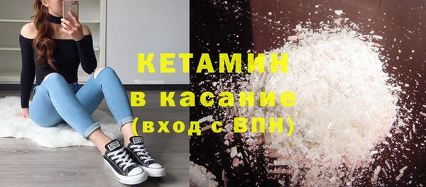 индика Инсар