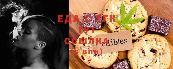 индика Инсар
