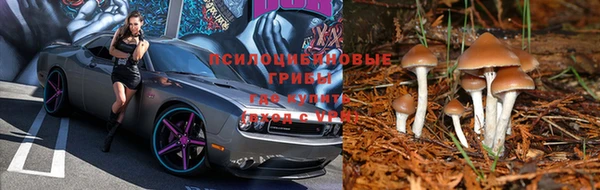 индика Инсар