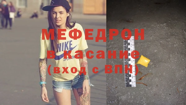 индика Инсар