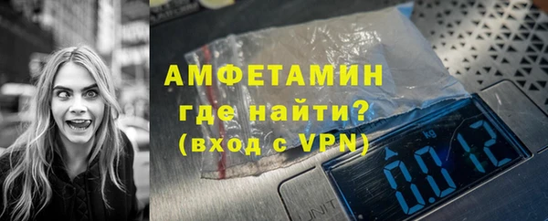 индика Инсар