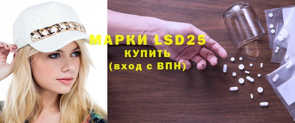 индика Инсар